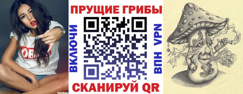 Галлюциногенные грибы Magic Shrooms Новохопёрск