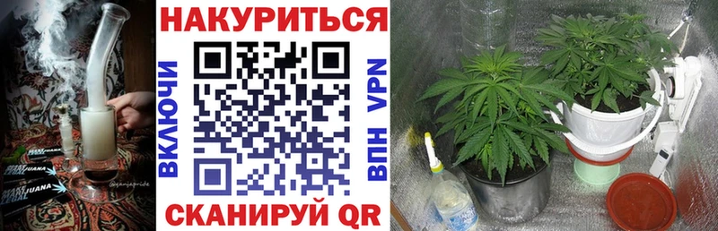 где продают   сайты даркнета клад  кракен ТОР  Бошки Шишки Bruce Banner  Новохопёрск 
